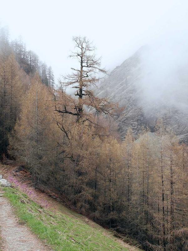 HYPRLUV backstage photo